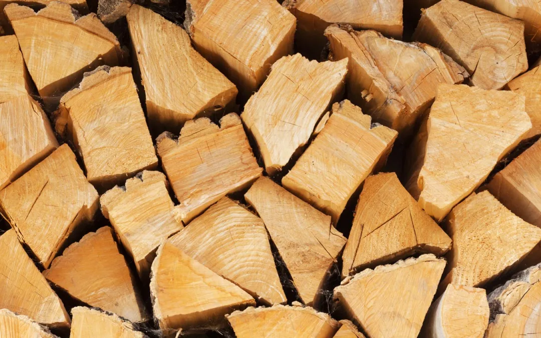 Die perfekte Brennholzwahl für Ihren Kaminofen – So maximieren Sie die Wärme und minimieren den Rauch!